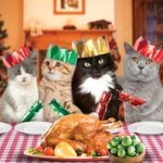 Christmas-Cats.jpg